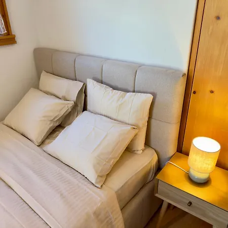 Alpine With Lounge - 10 Min From St Moritz *